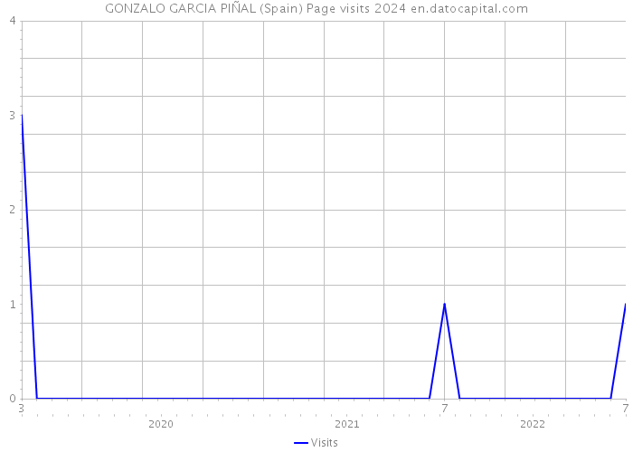 GONZALO GARCIA PIÑAL (Spain) Page visits 2024 
