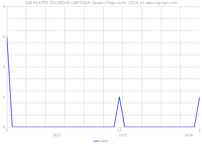 VLB PILATES SOCIEDAD LIMITADA (Spain) Page visits 2024 