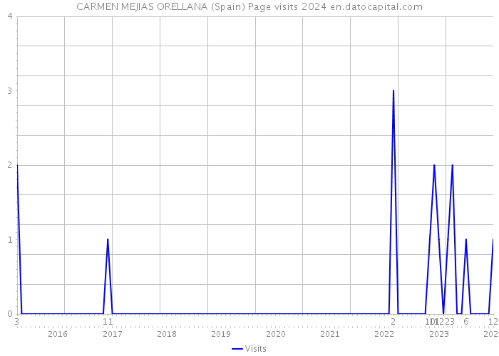 CARMEN MEJIAS ORELLANA (Spain) Page visits 2024 