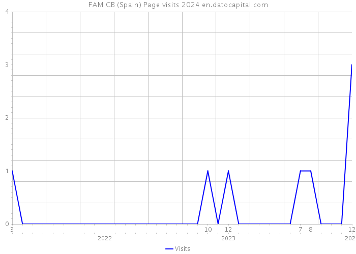 FAM CB (Spain) Page visits 2024 