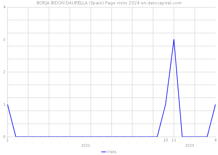 BORJA BIDON DAURELLA (Spain) Page visits 2024 
