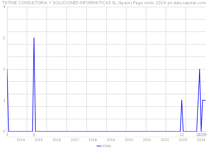 TATINE CONSULTORIA Y SOLUCIONES INFORMATICAS SL (Spain) Page visits 2024 