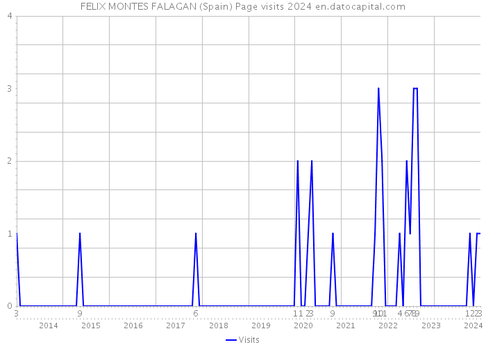 FELIX MONTES FALAGAN (Spain) Page visits 2024 