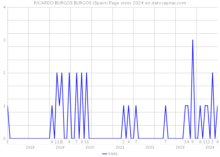 RICARDO BURGOS BURGOS (Spain) Page visits 2024 