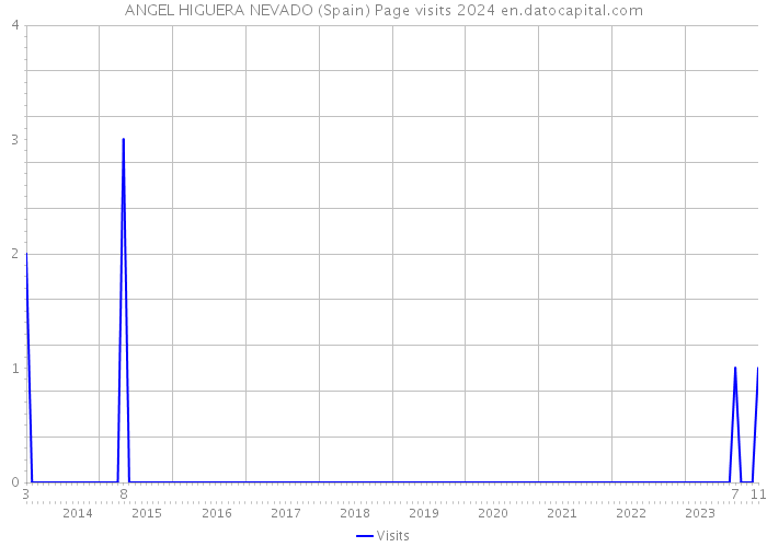 ANGEL HIGUERA NEVADO (Spain) Page visits 2024 