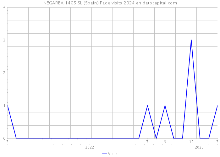 NEGARBA 1405 SL (Spain) Page visits 2024 