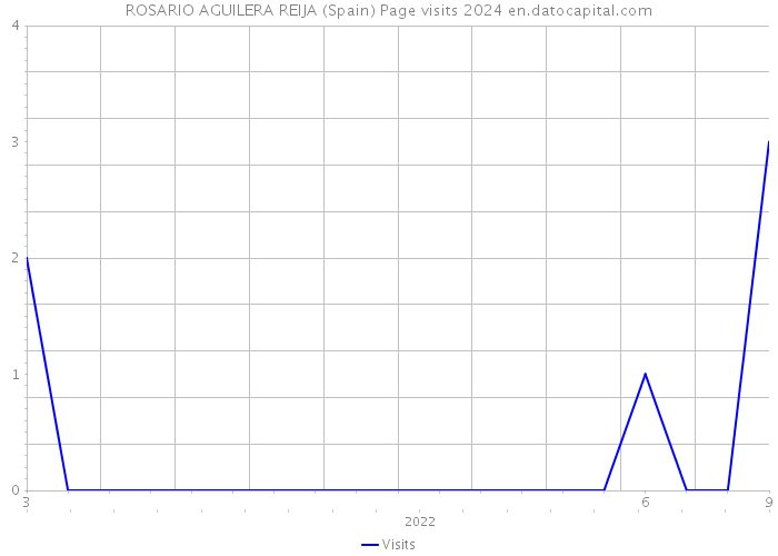 ROSARIO AGUILERA REIJA (Spain) Page visits 2024 