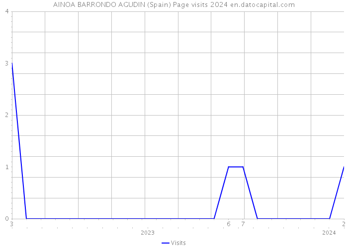 AINOA BARRONDO AGUDIN (Spain) Page visits 2024 