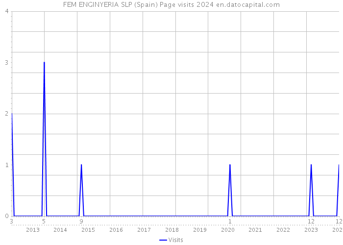FEM ENGINYERIA SLP (Spain) Page visits 2024 