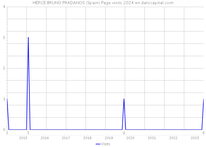 HERCE BRUNO PRADANOS (Spain) Page visits 2024 