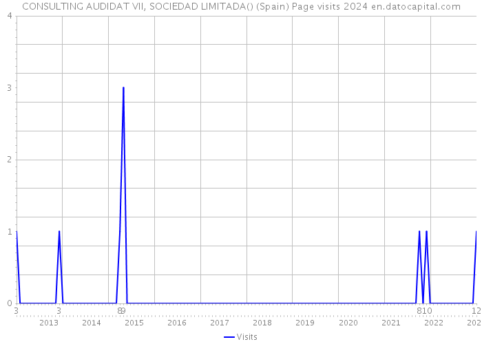 CONSULTING AUDIDAT VII, SOCIEDAD LIMITADA() (Spain) Page visits 2024 