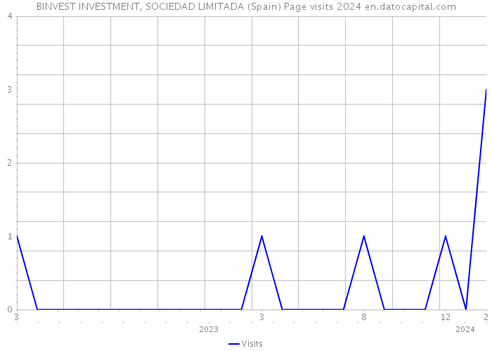 BINVEST INVESTMENT, SOCIEDAD LIMITADA (Spain) Page visits 2024 