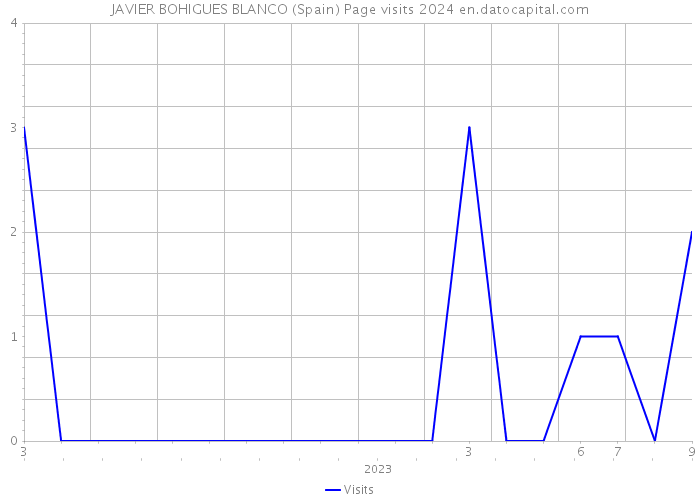 JAVIER BOHIGUES BLANCO (Spain) Page visits 2024 