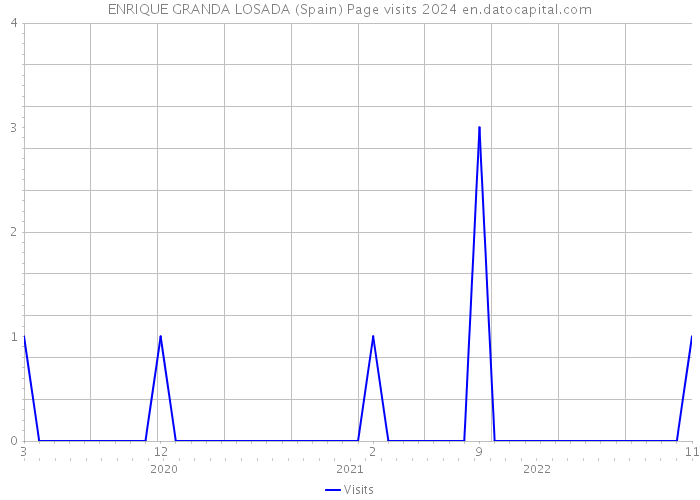 ENRIQUE GRANDA LOSADA (Spain) Page visits 2024 