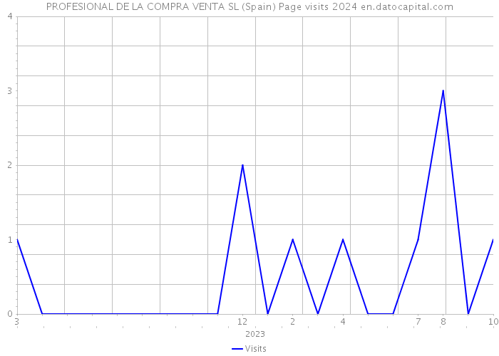 PROFESIONAL DE LA COMPRA VENTA SL (Spain) Page visits 2024 