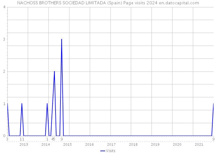 NACHOSS BROTHERS SOCIEDAD LIMITADA (Spain) Page visits 2024 