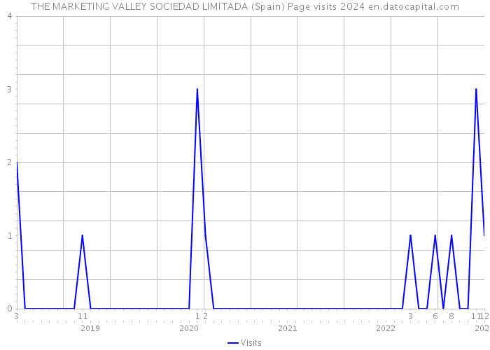 THE MARKETING VALLEY SOCIEDAD LIMITADA (Spain) Page visits 2024 