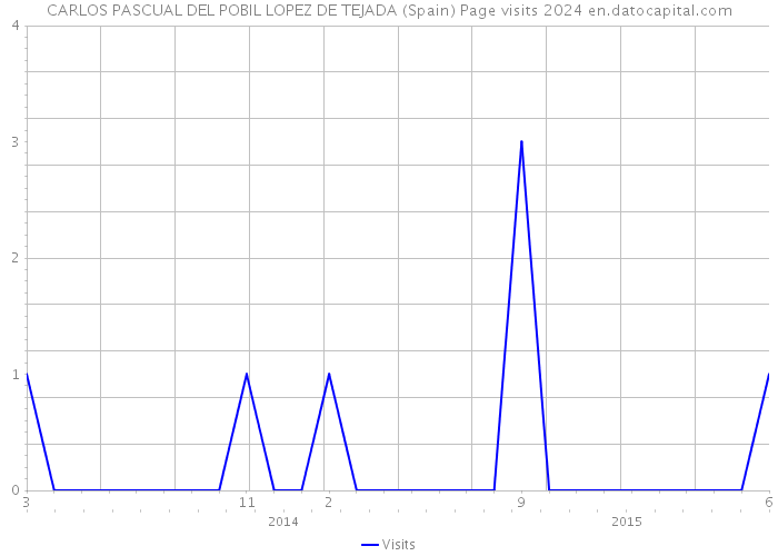 CARLOS PASCUAL DEL POBIL LOPEZ DE TEJADA (Spain) Page visits 2024 