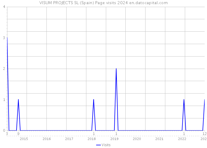 VISUM PROJECTS SL (Spain) Page visits 2024 