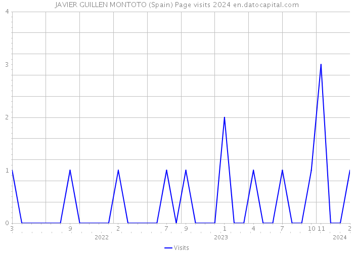 JAVIER GUILLEN MONTOTO (Spain) Page visits 2024 