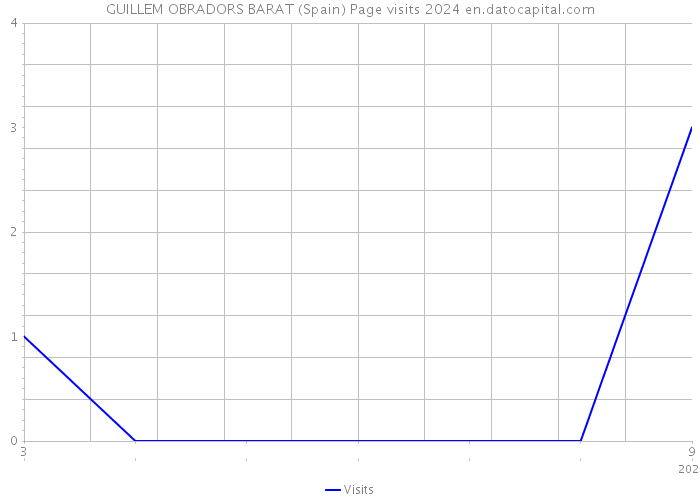 GUILLEM OBRADORS BARAT (Spain) Page visits 2024 