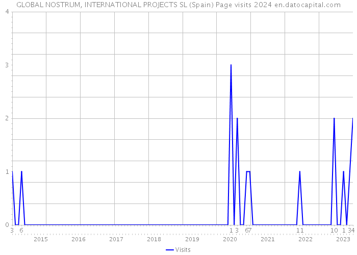 GLOBAL NOSTRUM, INTERNATIONAL PROJECTS SL (Spain) Page visits 2024 