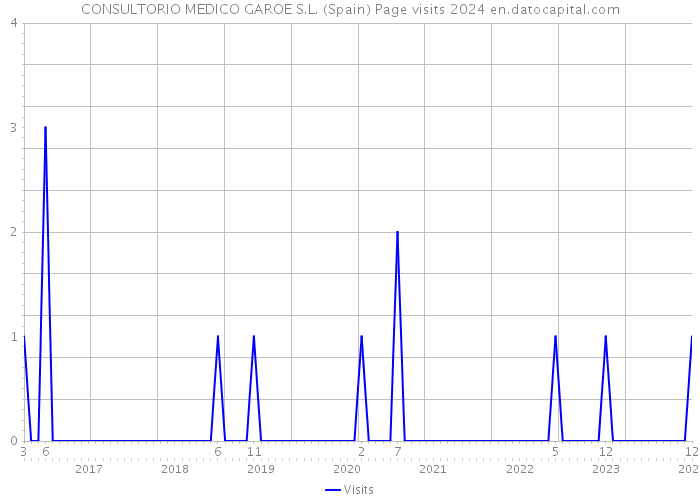 CONSULTORIO MEDICO GAROE S.L. (Spain) Page visits 2024 