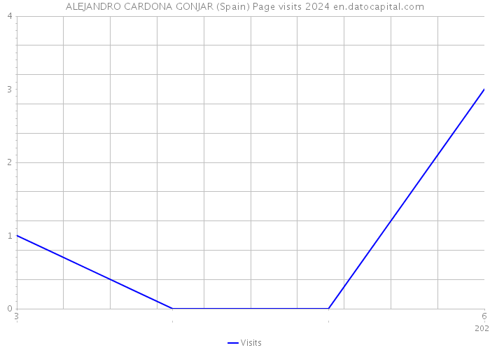 ALEJANDRO CARDONA GONJAR (Spain) Page visits 2024 