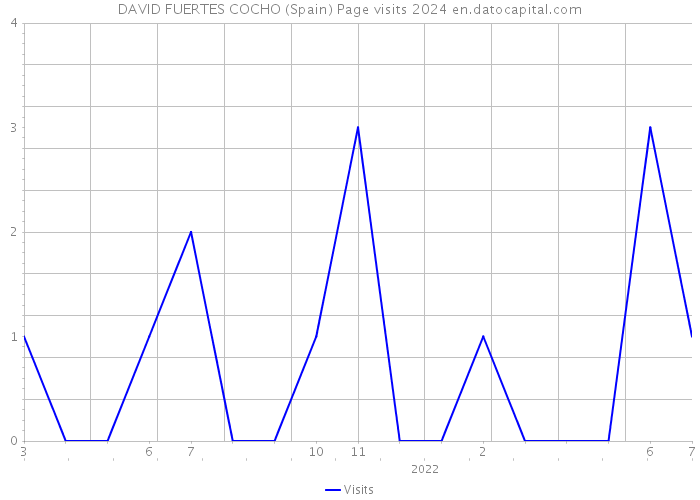 DAVID FUERTES COCHO (Spain) Page visits 2024 