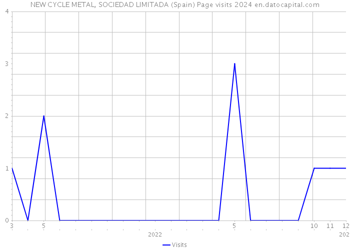 NEW CYCLE METAL, SOCIEDAD LIMITADA (Spain) Page visits 2024 