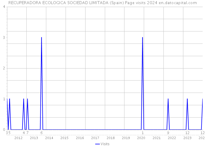 RECUPERADORA ECOLOGICA SOCIEDAD LIMITADA (Spain) Page visits 2024 