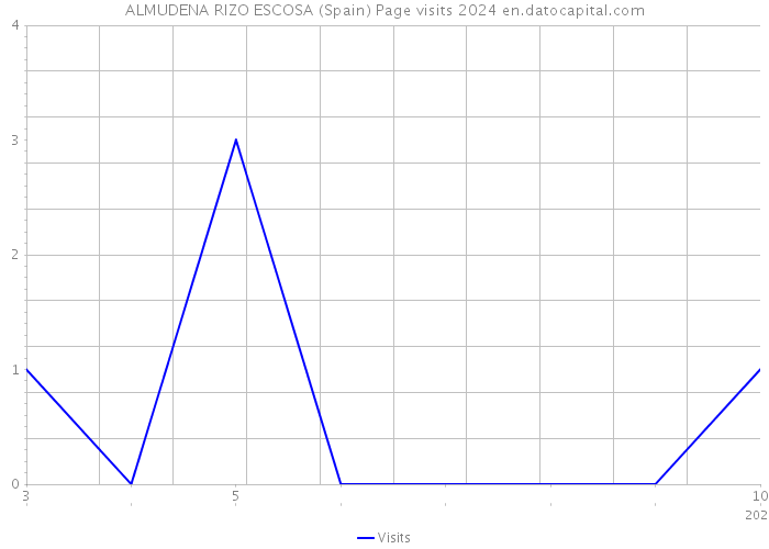 ALMUDENA RIZO ESCOSA (Spain) Page visits 2024 