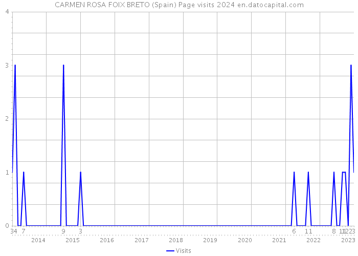 CARMEN ROSA FOIX BRETO (Spain) Page visits 2024 