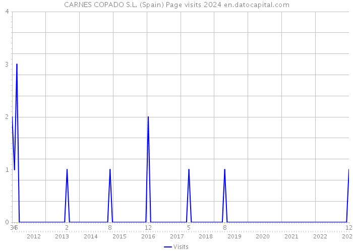 CARNES COPADO S.L. (Spain) Page visits 2024 
