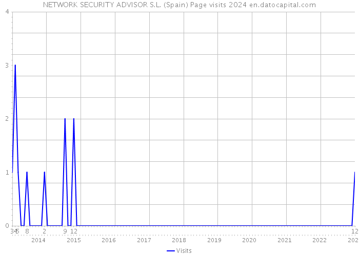 NETWORK SECURITY ADVISOR S.L. (Spain) Page visits 2024 