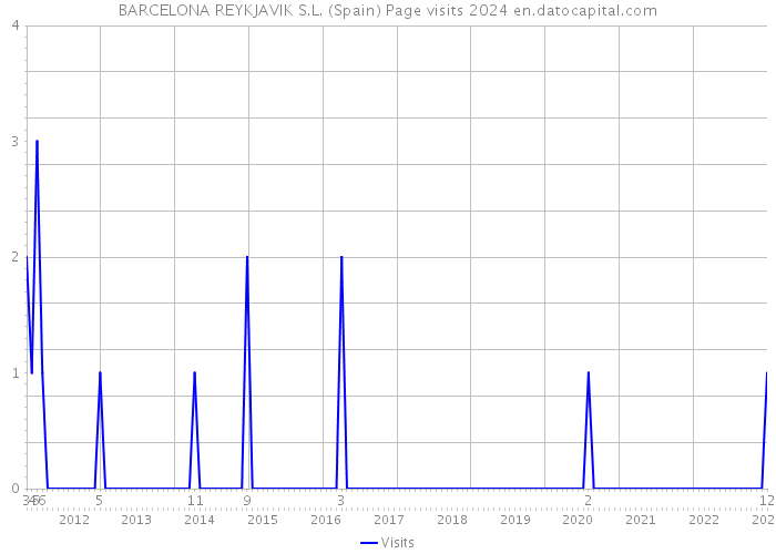 BARCELONA REYKJAVIK S.L. (Spain) Page visits 2024 