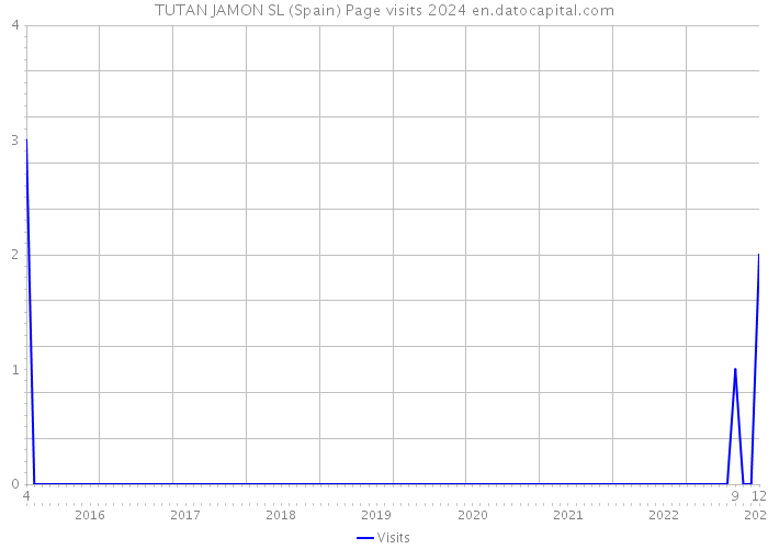 TUTAN JAMON SL (Spain) Page visits 2024 