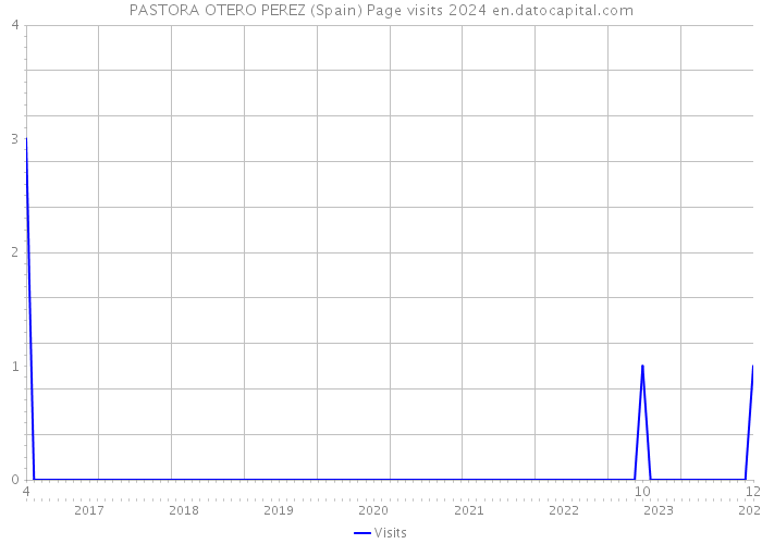 PASTORA OTERO PEREZ (Spain) Page visits 2024 