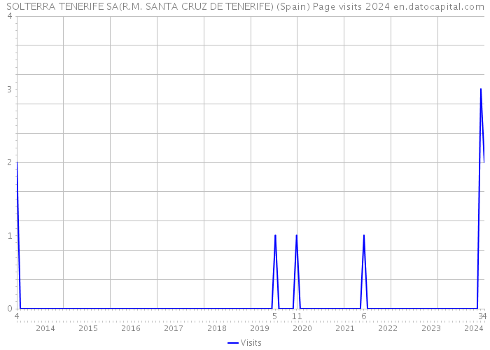 SOLTERRA TENERIFE SA(R.M. SANTA CRUZ DE TENERIFE) (Spain) Page visits 2024 