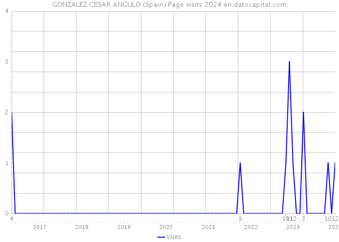 GONZALEZ CESAR ANGULO (Spain) Page visits 2024 