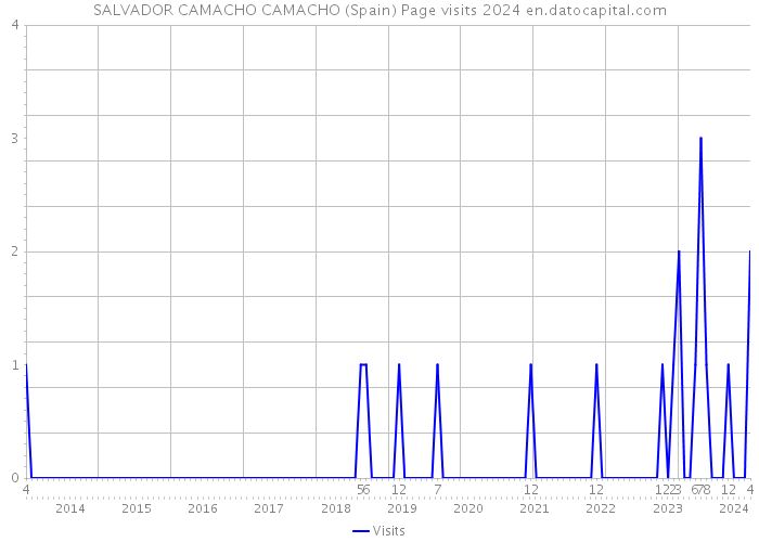 SALVADOR CAMACHO CAMACHO (Spain) Page visits 2024 