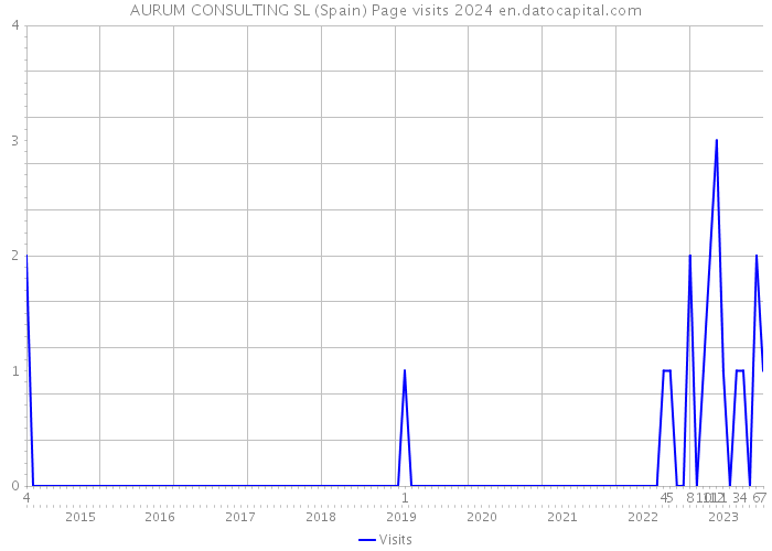 AURUM CONSULTING SL (Spain) Page visits 2024 
