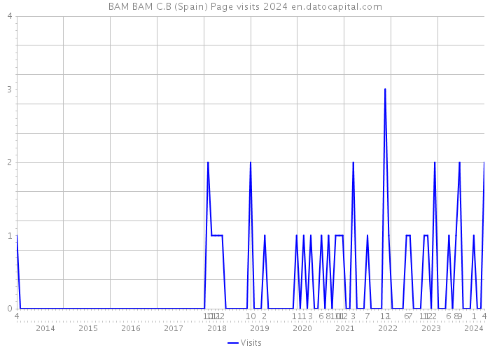 BAM BAM C.B (Spain) Page visits 2024 