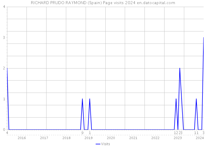 RICHARD PRUDO RAYMOND (Spain) Page visits 2024 