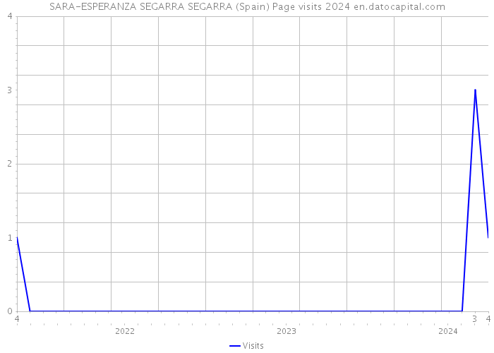 SARA-ESPERANZA SEGARRA SEGARRA (Spain) Page visits 2024 