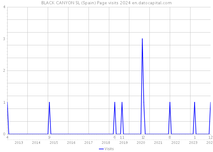 BLACK CANYON SL (Spain) Page visits 2024 