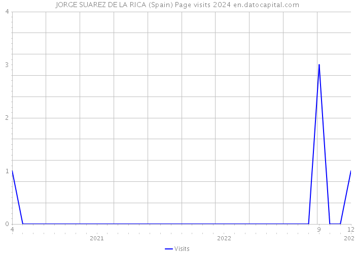 JORGE SUAREZ DE LA RICA (Spain) Page visits 2024 