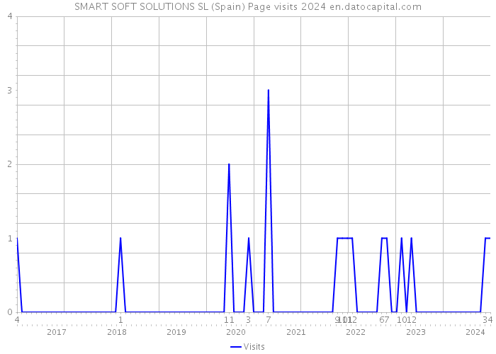 SMART SOFT SOLUTIONS SL (Spain) Page visits 2024 