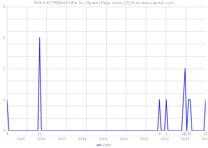 RAKA EXTREMADURA S.L (Spain) Page visits 2024 