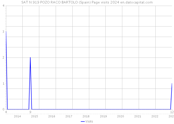 SAT N 919 POZO RACO BARTOLO (Spain) Page visits 2024 
